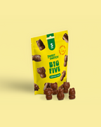 Yellow packaging of Sweet Switch Big Five with chocolate animal-shaped treats on a yellow background  sugar free